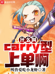  什么叫Carry型上单啊